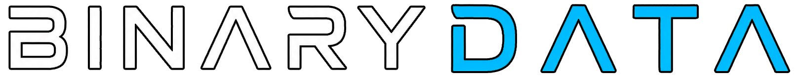 Binary Data Logo